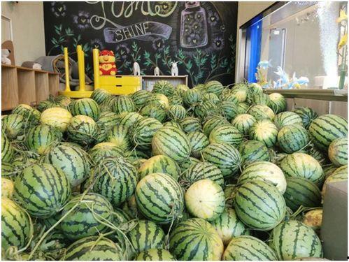 娱乐718吃瓜速看天气